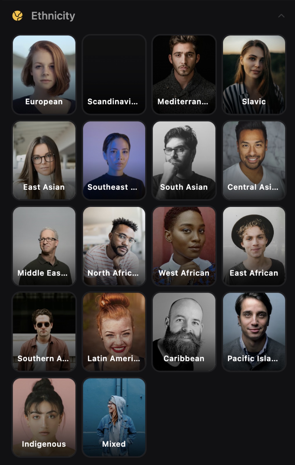 AI Character Builder ethnicity selector