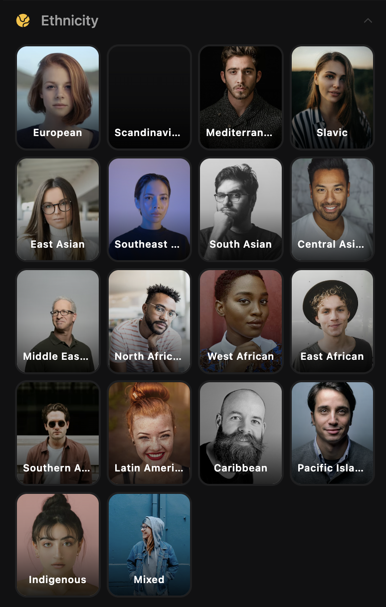 AI Character Builder ethnicity selector