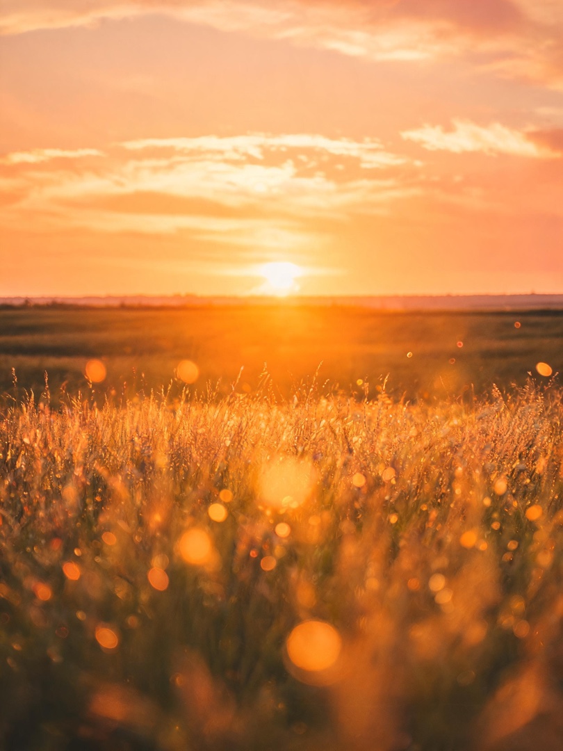 Golden Hour