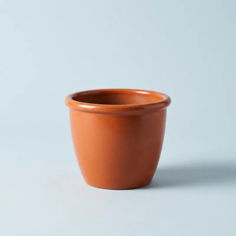 Your whole catalogue from one message: Row 1, made with AI